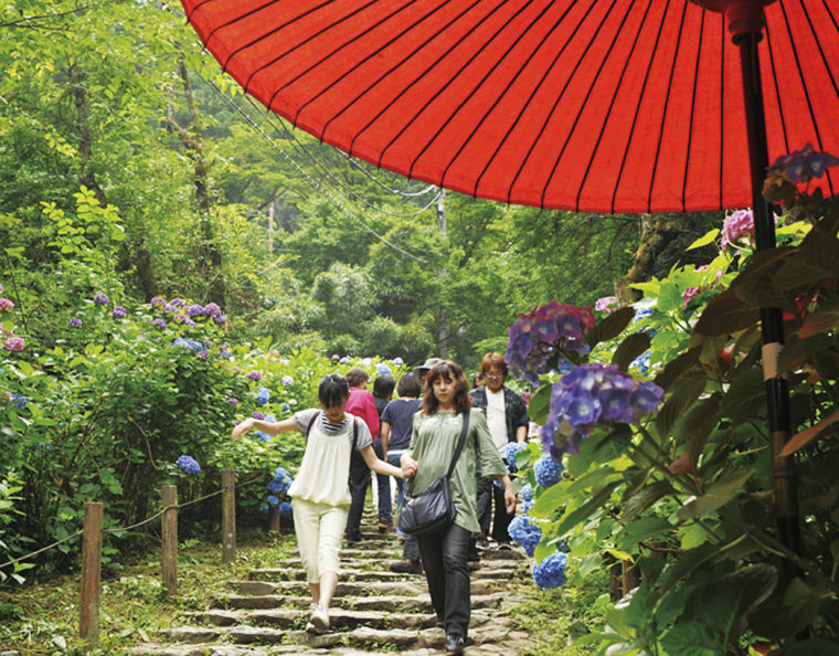 あじさい坂 栃木市観光協会