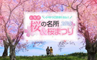 19 とちぎの桜を満喫しよう 栃木市観光協会